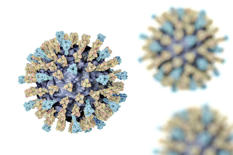 measles virus