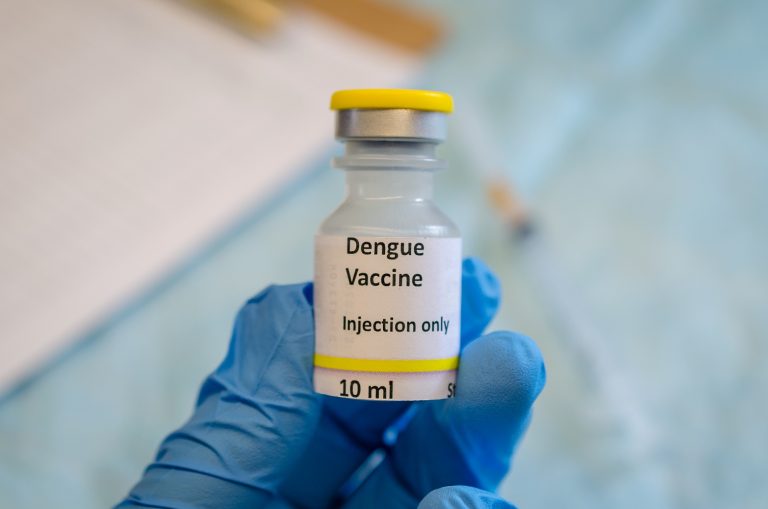 dengue vaccine