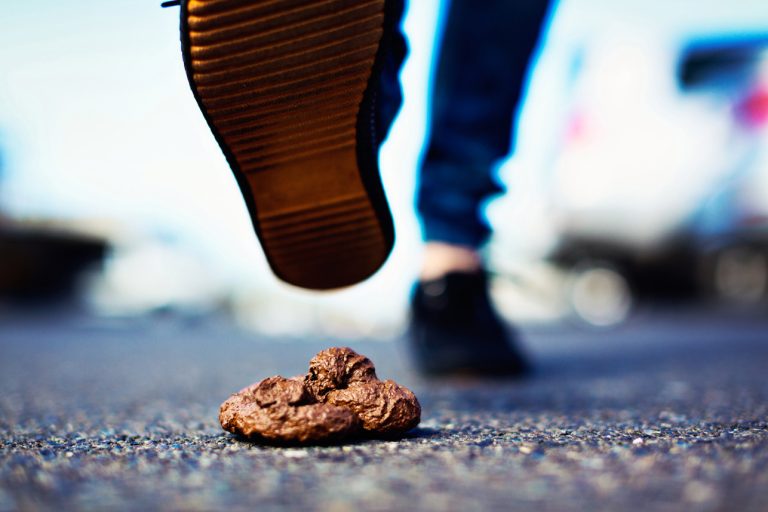 San Francisco's poop problem