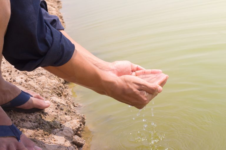 hands gathering water