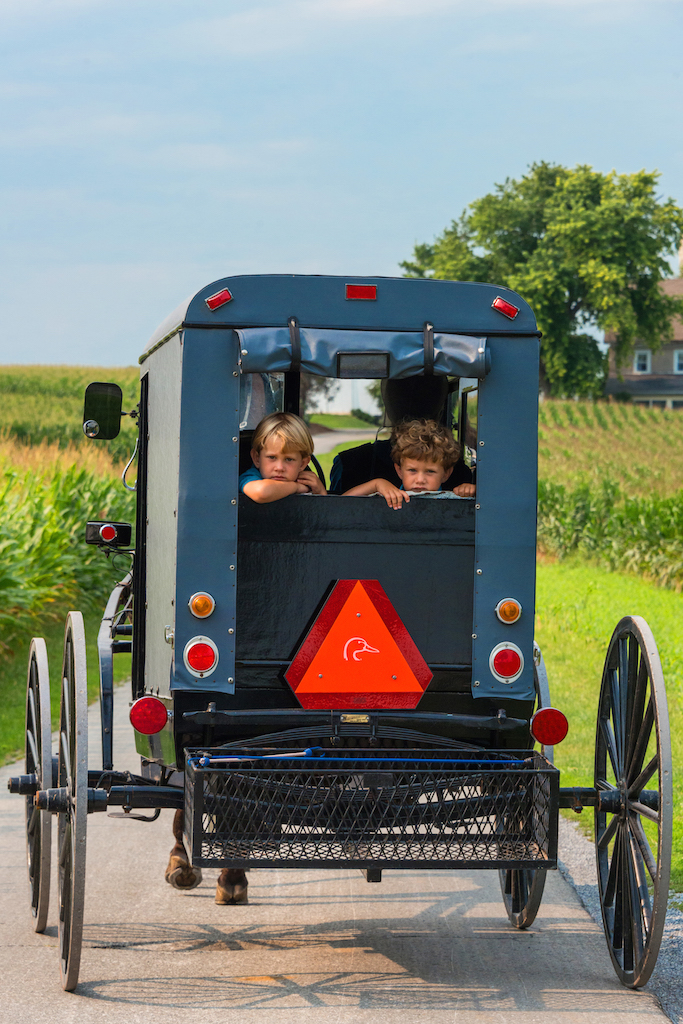Amish children in buggy